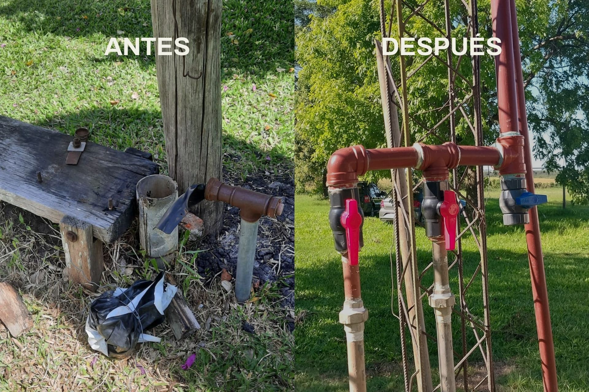 Imagen adicional